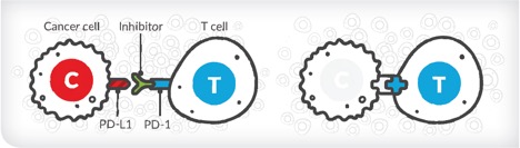 Điều trị Ung thư Phổi theo Liệu pháp Miễn Dịch