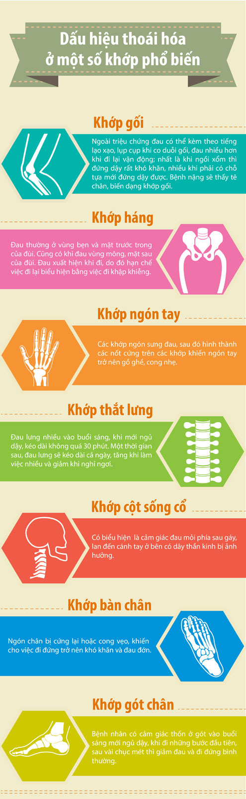 Nhận diện các triệu chứng của bệnh thoái hóa khớp 7 Eco1-9580-1408766498.jpg
