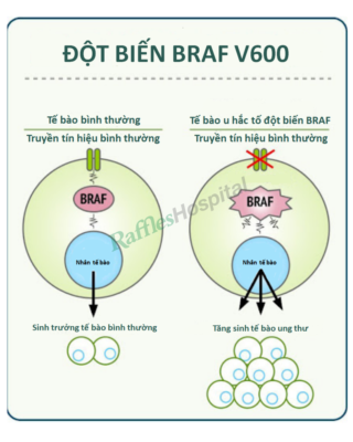 Phác đồ mới điều trị hiệu quả Ung thư Đại trực tràng di căn 3 Colorectal 5 VN 1