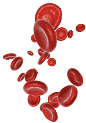 Leukaemia1