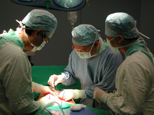 Phuong phap dieu tri dau lung raffles1