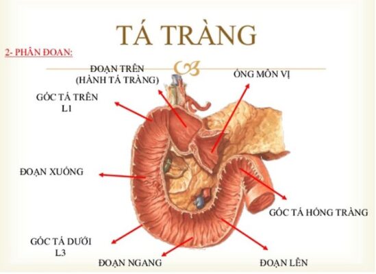 Pic Ta trang 20.9