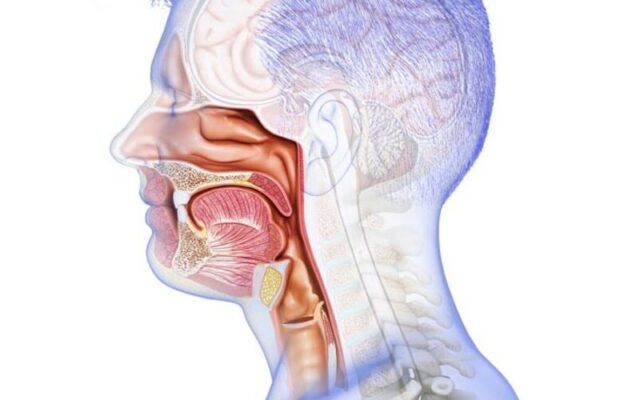 Ung thư khoang miệng (Nguồn: Internet)