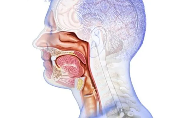 Ung thư khoang miệng (Nguồn: Internet)