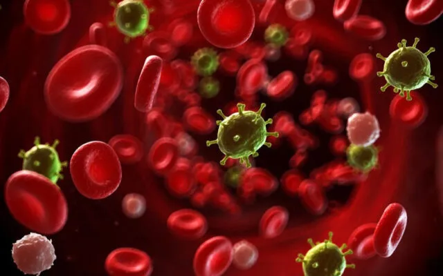 Ung thư máu (Nguồn: Internet)