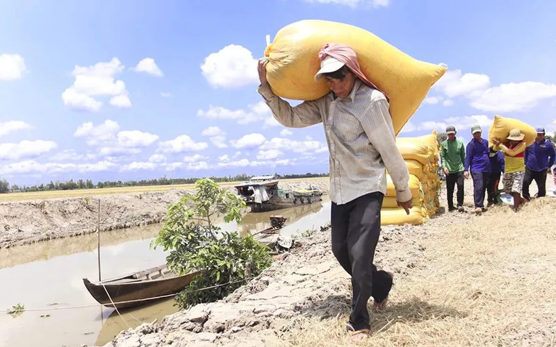 Thoái hóa khớp gối: Lời khuyên từ chuyên gia