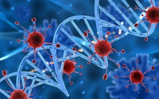 Ung thư gan có di truyền không? (Nguồn: Internet)