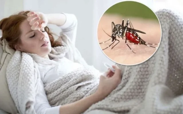 Bệnh sốt rét (Nguồn: Internet)