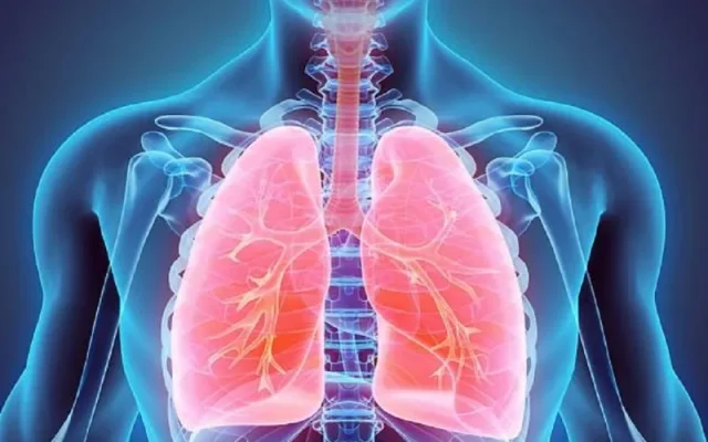 Các yếu tố xác định viêm phế quản có phải viêm phổi không (Nguồn: Internet)