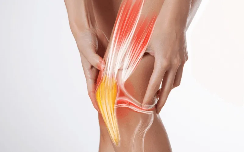 Tầm quan trọng của gân và dây chằng đối với cơ thể (Nguồn: Internet)