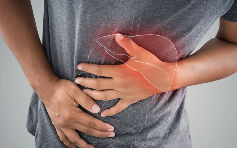 Rượu tác động đến tụy qua những cơ chế nào? (Nguồn: Internet)