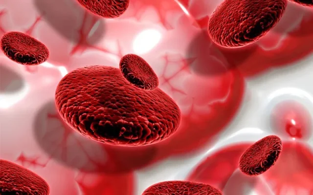 Tại sao cần phân loại ung thư máu? (Nguồn: Internet)